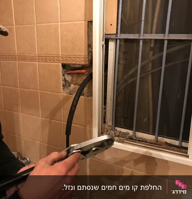 הקו החדש